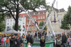 Bild 274